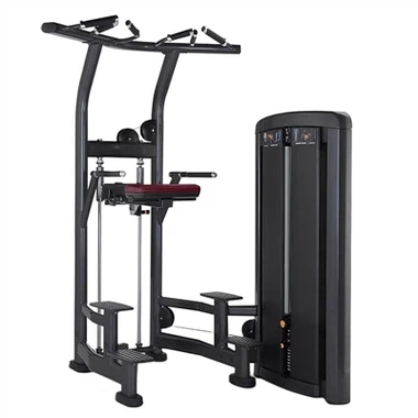Xinzhen Fitness Assist Assist Dip Chin را راه اندازی می کند ، و آموزش فوقانی ...